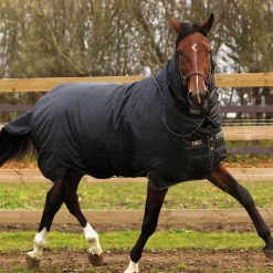 Horseware Trot Plus 350g Turnout Rug
