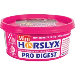 Horslyx Mini Licks Packs of 12