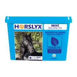 Horslyx Mint