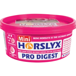 Horslyx Pro Digest Balancer