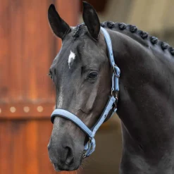 HV Polo Essential Headcollar