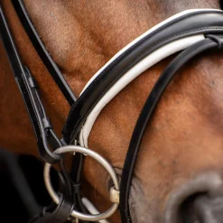 HV Polo Legacy Deluxe Bridle