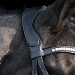 HV Polo Legacy Deluxe Bridle