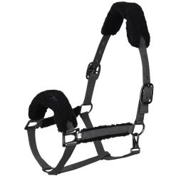 HV Polo Teddy Headcollar