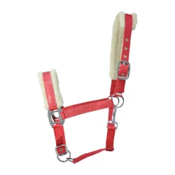 Hy Christmas Santa Head Collar