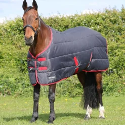 HYCONIC 100g Stable Rug