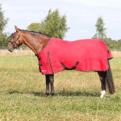 HyCONIC 200g Turnout Rug