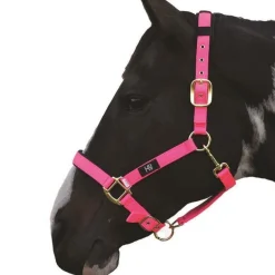 Hy Deluxe Padded Head Collar