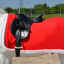 Hy Equestrian Christmas Santa Exercise Sheet