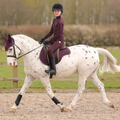 Hy Equestrian Enchanted Collection Fly Veil