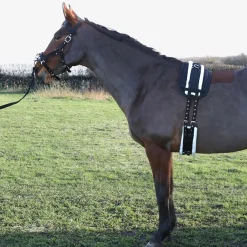 Hy Equestrian Lunge Roller Pad