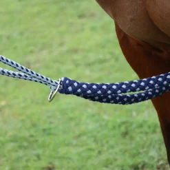 Hy Equestrian Lunging Aid