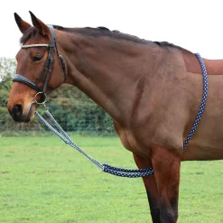 Hy Equestrian Lunging Aid