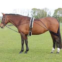 Hy Equestrian Lunging System