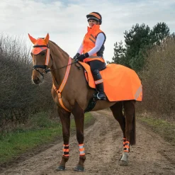 Hy Equestrian Reflector Martingale