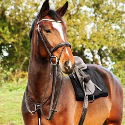 Hy Equestrian Rosciano Rose Gold Detail Leather Martingale