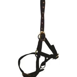 Hy Foal Head Collar