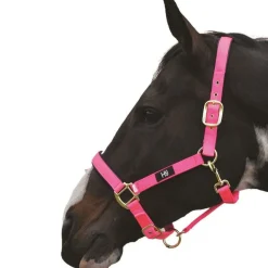 Hy Grand Prix Head Collar