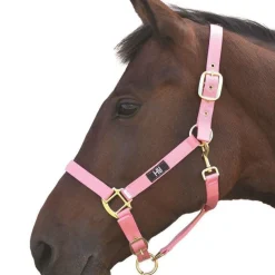Hy Head Collar