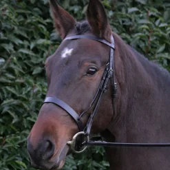 Hy Hunter Bridle with Rubber Grip Reins