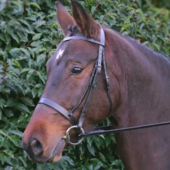 Hy Hunter Bridle with Rubber Grip Reins