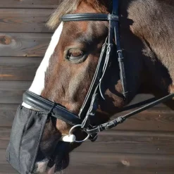 Hy Nose Shield