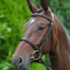 Hy Padded Cavesson Bridle with Rubber Grip Reins