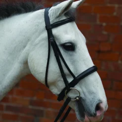 Hy Padded Cavesson Bridle with Rubber Grip Reins
