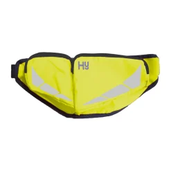 HyViZ Reflector Bum Bag