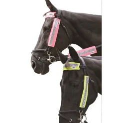 HyVIZ Bridle Set