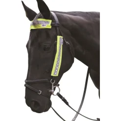 HyVIZ Bridle Set