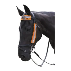 HyVIZ Bridle Set
