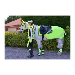 HyVIZ Reflector Mesh Exercise Sheet