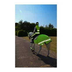HyVIZ Reflector Mesh Exercise Sheet