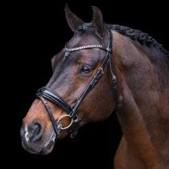 Imperial Riding Olympia Bridle