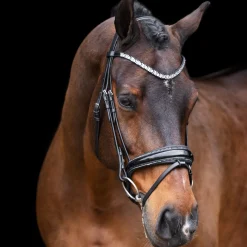 Imperial Riding Olympia Bridle