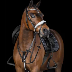Imperial Riding Rainbow Martingale