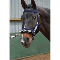 John Whitaker Cavesson Lunge