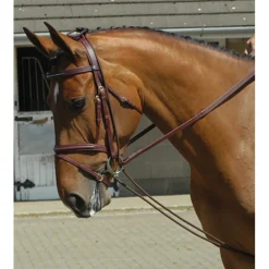 John Whitaker Training Rein