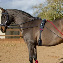 John Whitaker Training System