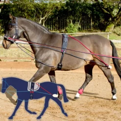 John Whitaker Training System