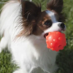 Jolly Pets Jolly Jumper