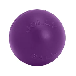 Jolly Pets Push-n-Play Jolly Ball