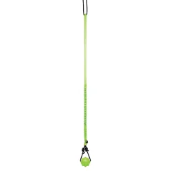 Jolly Pets Tree Tugger