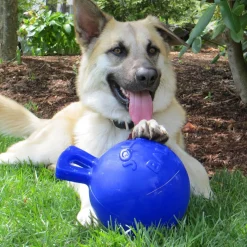 Jolly Pets Tug-n-Toss Jolly Ball