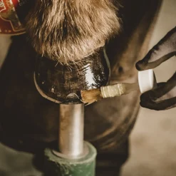 Kevin Bacon's Liquid Hoof Dressing