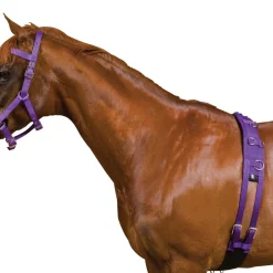 Kincade Deluxe Equigrip Lunge Roller