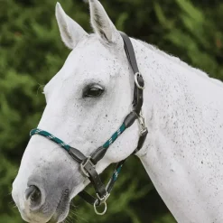 Kincade Leather Rope Head Collar