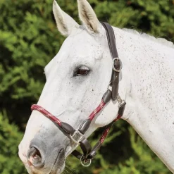 Kincade Leather Rope Head Collar