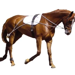 Kincade Lunging Training System
